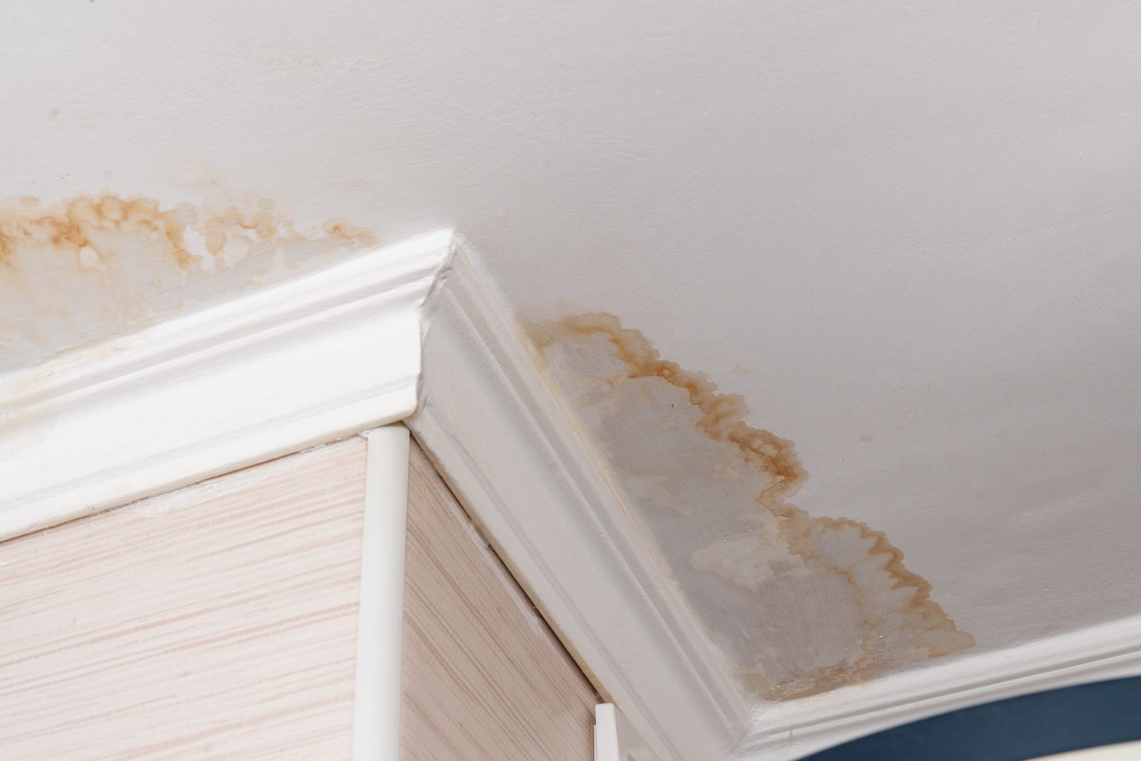 Hammertime Roofing Images