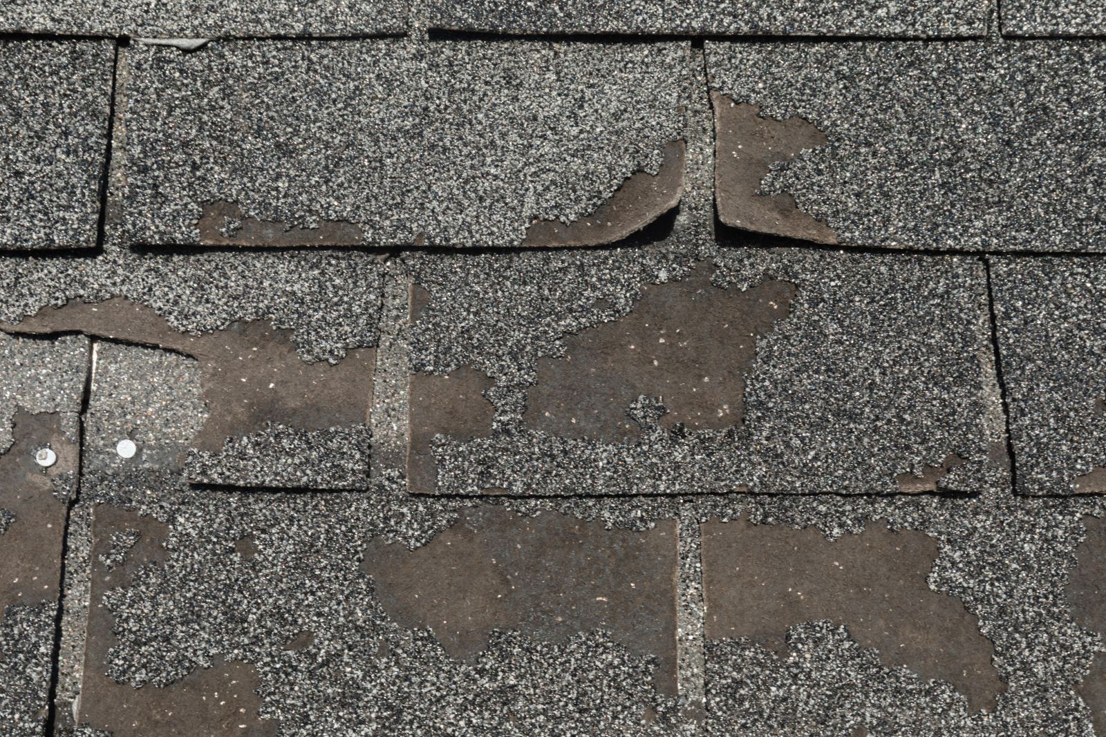 Hammertime Roofing Images